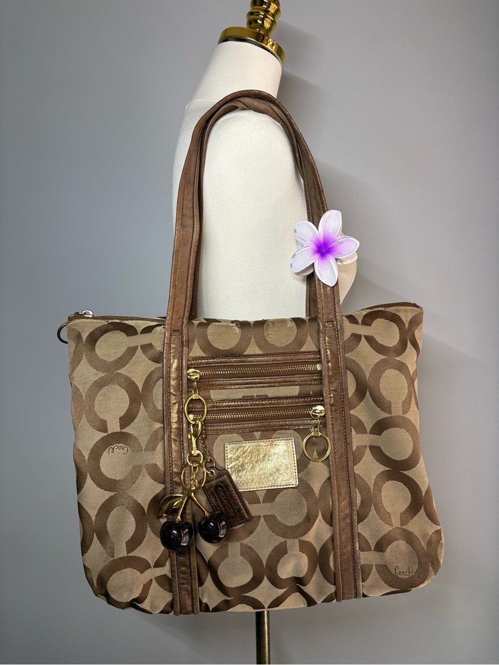 Coach Y2K Brown Poppy Signature Canvas Tote Bag